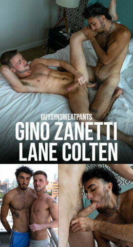 Guys In Sweatpants – I’m Just a Hole – Gino Zanetti and Lane Colten